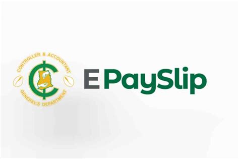 e payslip login sm